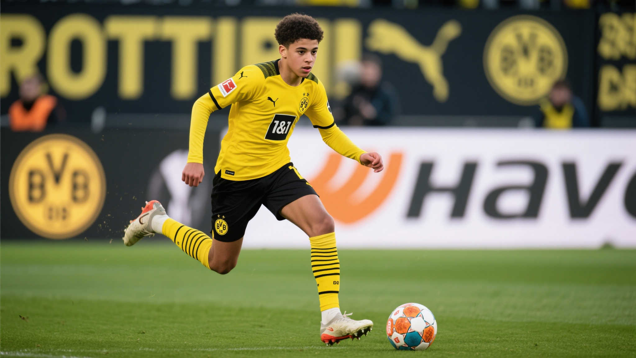 Xingkong体育中心